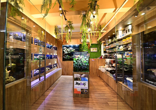 Aquarium Shops in Singapore