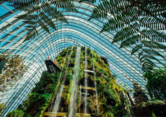 Most Visited Attractions in Singapore