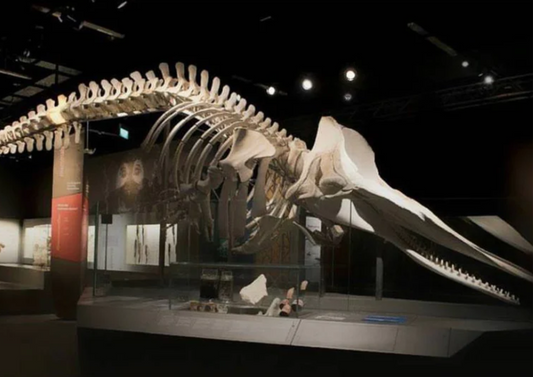 Museums in Singapore 
