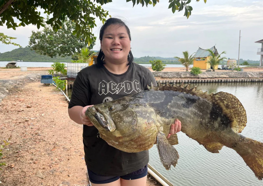 Must do things in Batam