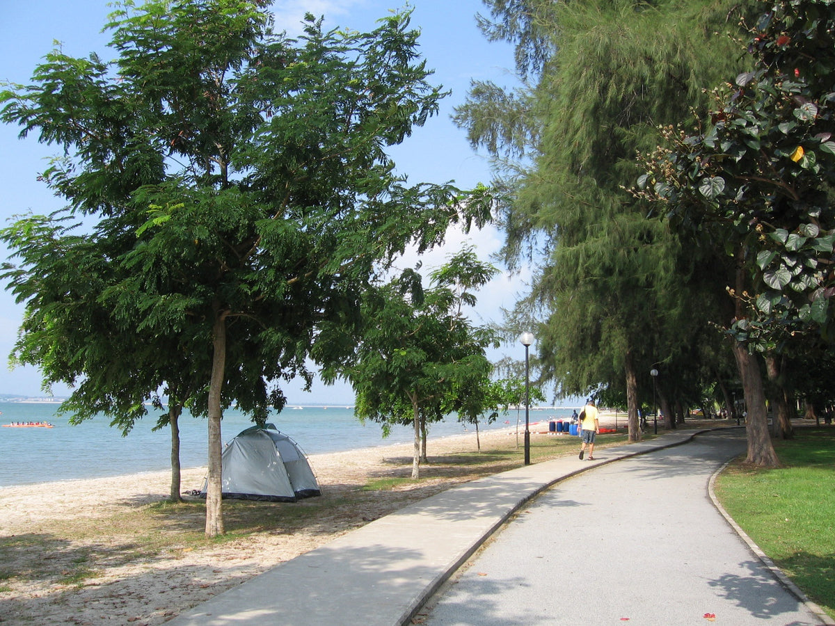 Changi